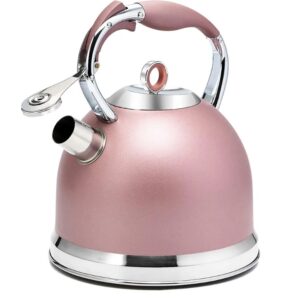 Hot Selling Whistling Tea Kettle Boiling Water Stainless Steel Teapot for Stove Top Whistle Water Kettle Stovetop Tea Pot